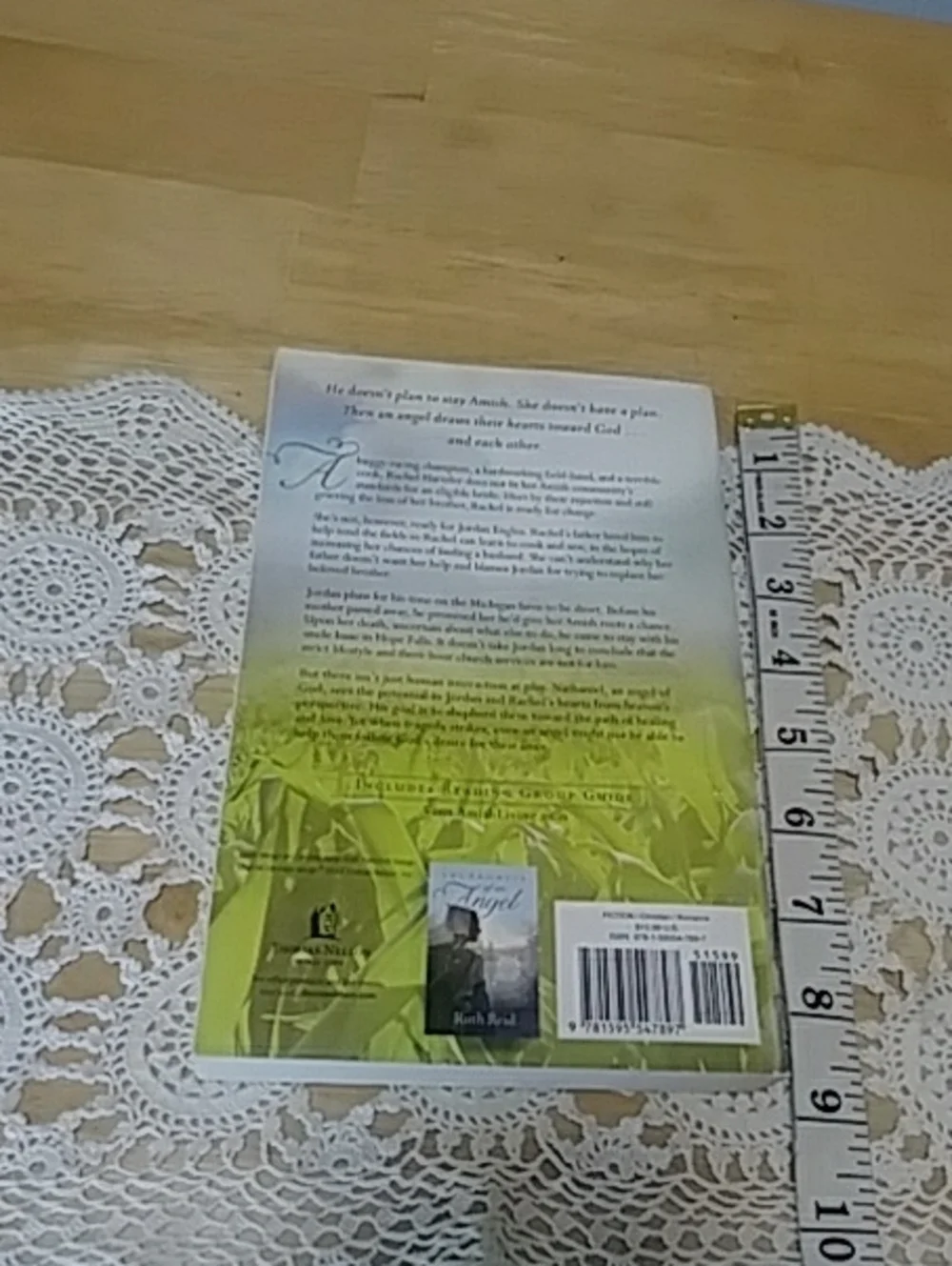 Book Sale! 3 for $10! Amish - Brush of Angel's Wings